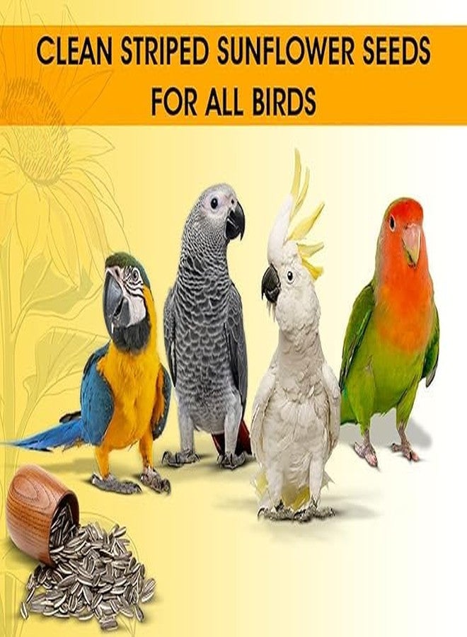 FINEWORLD, Premium Sunflower Seeds for Medium and Large Parrots, Natural Bird Food, 450g, Hand-Picked, No Preservatives, Suitable for Finches, Parakeets, African Grey, Cockatoo, Macaws - Image 3